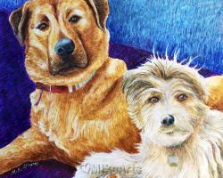 Look Who Arrived!, a Rescue Dog Portrait