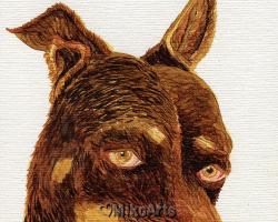 Little Bean, a Rescue Puppy Portrait