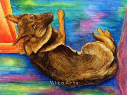 Whiskey Chillin', a Rescue Dog Portrait