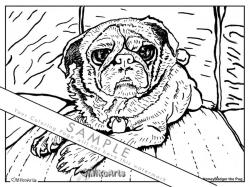 HoneyBadger's Coloring Page