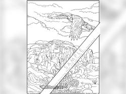 Kestrel in Canyon Coloring Page