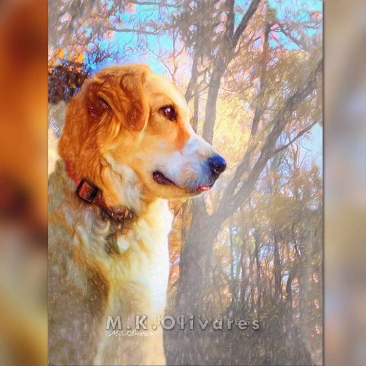 Rescue Puppy Portrait, 