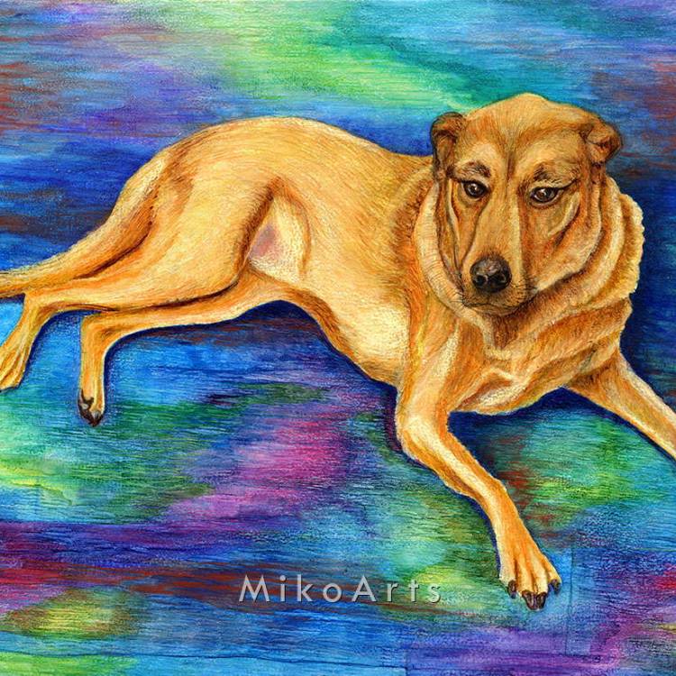 Sanford Chillin', a Rescue Dog Portrait