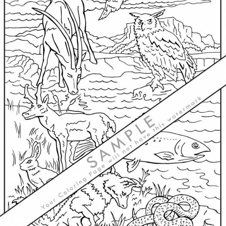 Desert of Surprises Coloring Page